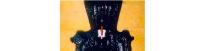 52. திருக்காரகம்